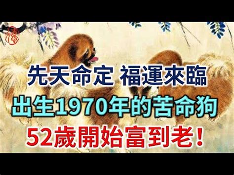 1970屬狗十年運勢|1970属狗在2025以后十年大运，70年狗未来十年运势。